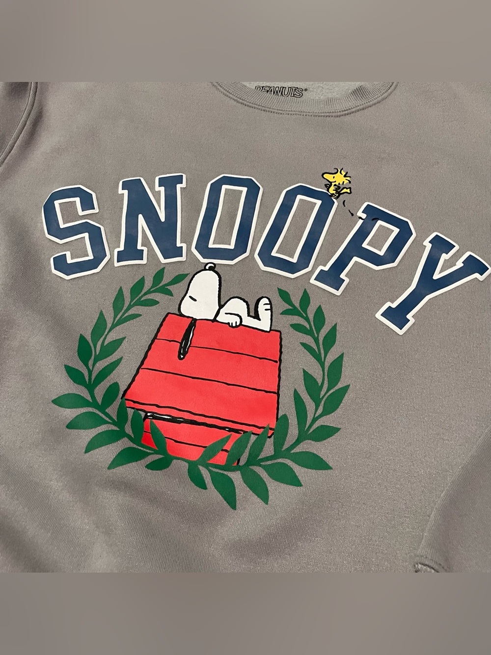 Snoopy Graphic Crew Neck Sweatshirt Grey 2024 Peanuts Women's Medium Soft Cozy - Picture 2 of 7